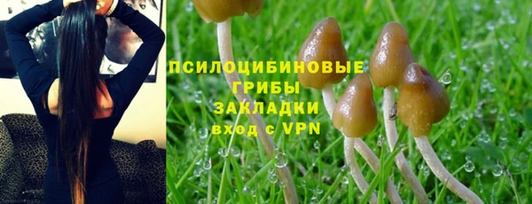 стаф Аша