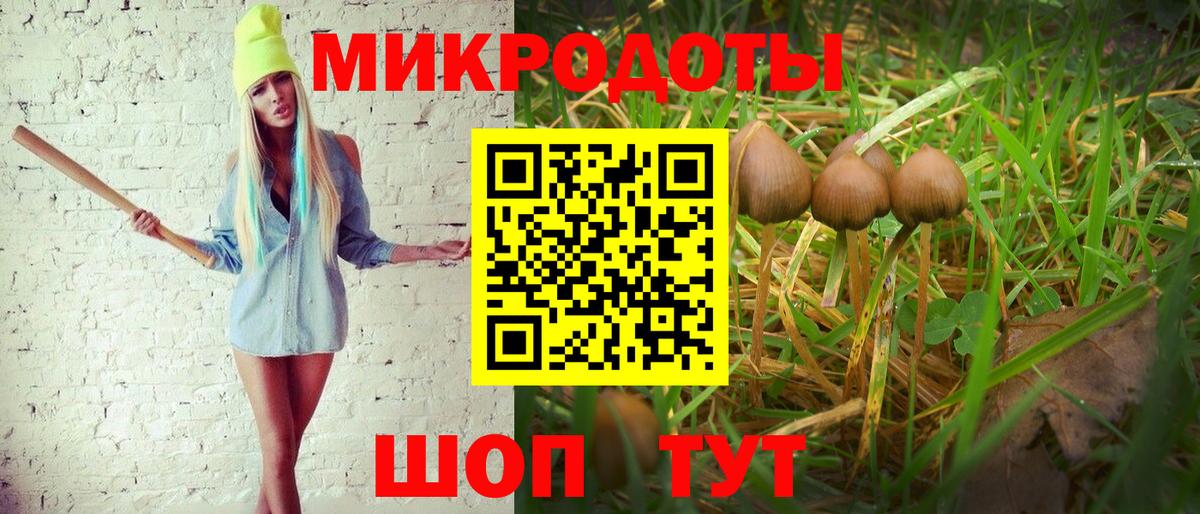 Галлюциногенные грибы Psilocybe  Галлюциногенные грибы мухоморы  Нижнекамск  Вход с VPN 