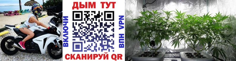 купить наркоту  Нижнекамск  Шишки марихуана THC 21% 
